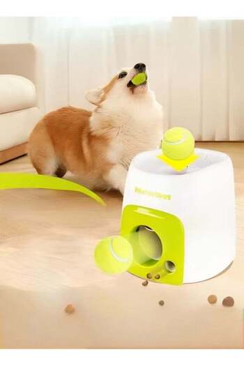 fun zone Generic Automatic Ball Launcher for Dogs