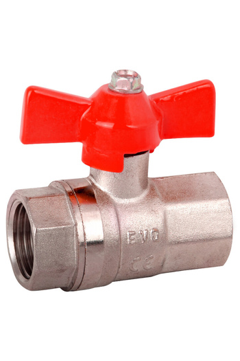 EVOSANITARY FI-FI Butterfly Ball Valve 1 inch