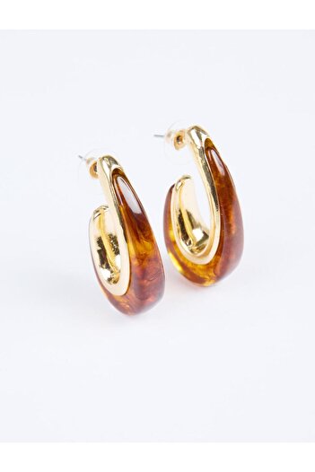 Jimmy Key Brown Color Gradient Asymmetrical Earrings