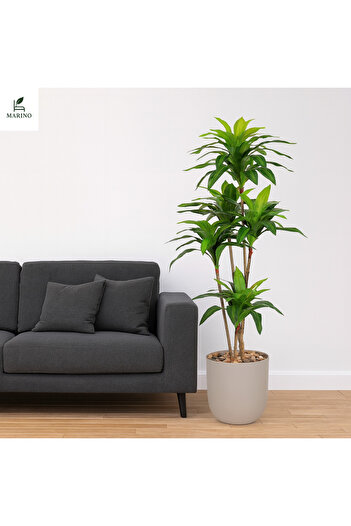 MARINO Artificial Corn Tree - 5 Branches - 180 cm