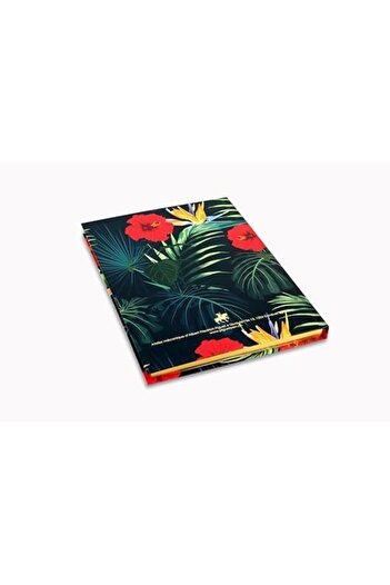 STOREMAX Polysight - Hummingbird's Song Luxury Bound Note and Memory Book Trendzap 467437