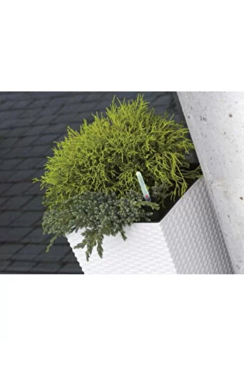 Prosperplast Ghiveci de flori, Prosperplast, Rato Low, patrat, 32 L, imitatie ratan, alb, 32 x 32 x 32.5 cm