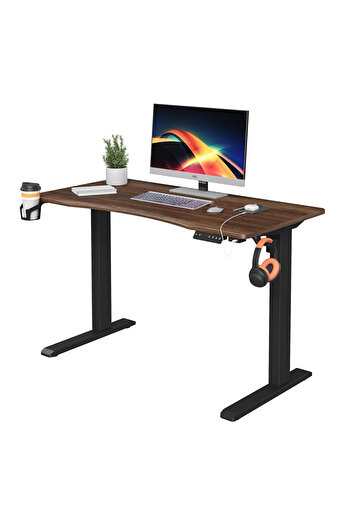 Skyland Electric Height Adjustable Desk with Wireless Charging, USB&Type-C Ports (Black)