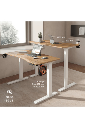 Skyland Electric Height Adjustable Desk with Wireless Charging, USB&Type-C Ports