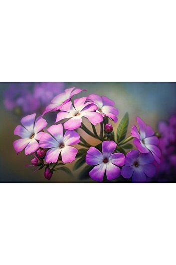 Alista Home Decorative wall painting with wooden frame, 33cm x 24cm, image 2439