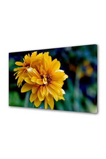 Alista Home Decorative wall painting with wooden frame, 33cm x 24cm, with flowers1541