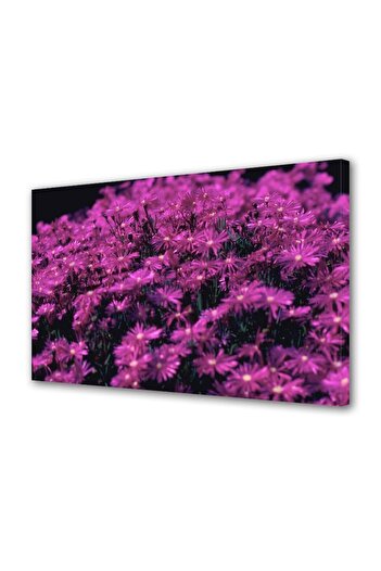 Alista Home Decorative wall painting with wooden frame, 33cm x 24cm, with flowers1529