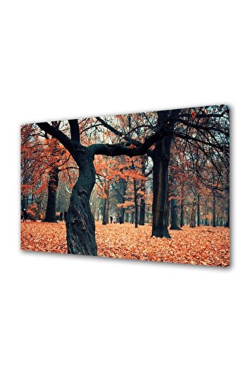 Alista Home Decorative wall painting with wooden frame, 33cm x 24cm, with flowers1828