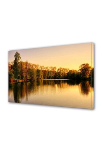 Alista Home Decorative wall painting with wooden frame, 33cm x 24cm, with flowers1877