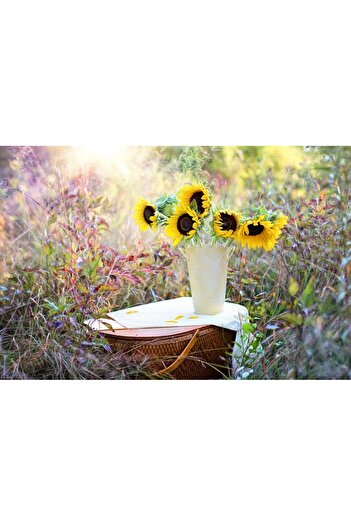 Alista Home Decorative wall painting with wooden frame, 33cm x 24cm, with flowers3421
