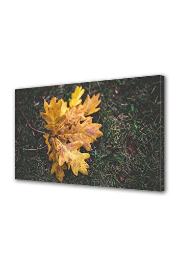 Alista Home Decorative wall painting with wooden frame, 33cm x 24cm, with flowers2045