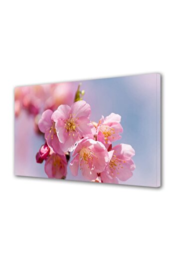 Alista Home Decorative wall painting with wooden frame, 33cm x 24cm, with flowers1285