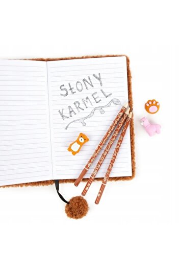 zola Set of 3 scented pencils and 3 erasers, salted caramel flavor, fun patterns, brown
