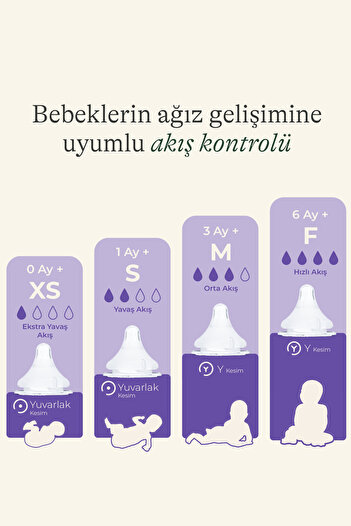 Lansinoh NaturalWave® 2'li Biberon Emziği Hızlı Akışlı (6 Ay+)