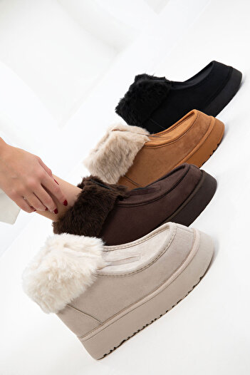 SOHO Brown Suede Women's Boots & Booties 21086