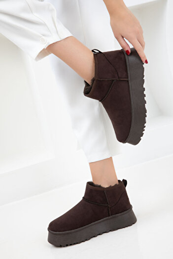SOHO Brown Suede Women's Boots & Booties 21071