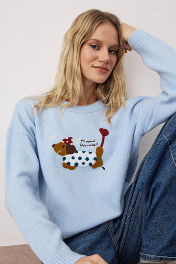Trendyol Collection Pulover tricotat cu broderie pentru câini, cu textura moale, albastru, TWOAW26KZ00258