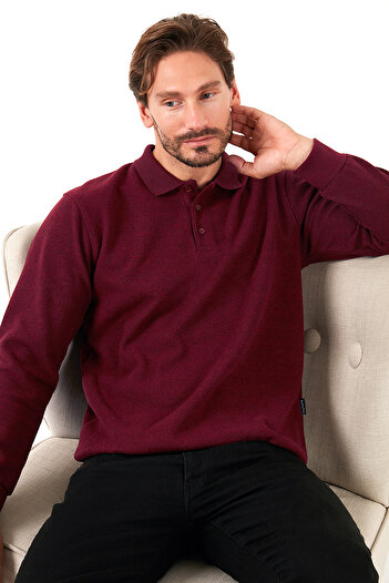 Buratti Cotton Blend Regular Fit Polo Collar Sweater Men's Polo Collar Sweater 456223