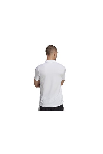 adidas - IB8105 TR- ES BASE POLO Ανδρικό μπλουζάκι πόλο με γιακά λευκό