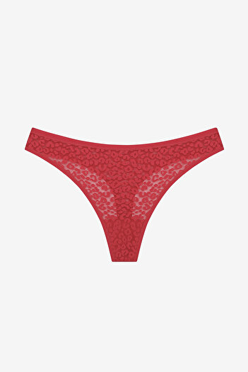 Penti Lace Lace 3-Piece Multicolor Thong Panties