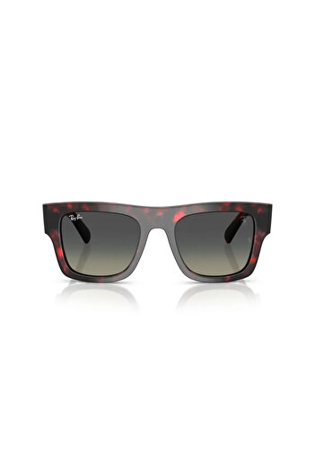 Ray-Ban Sunglasses Rb2217M 53 F70511