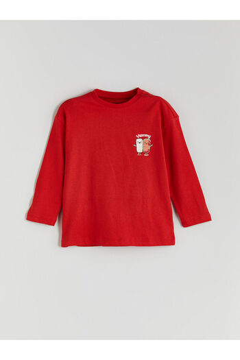 LC Waikiki Crew Neck Printed Boy's T-Shirt