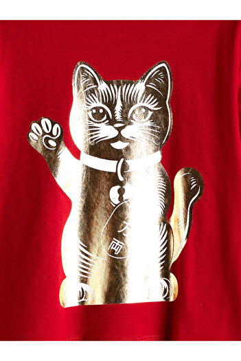 LC Waikiki Crew Neck Printed Boy's T-Shirt