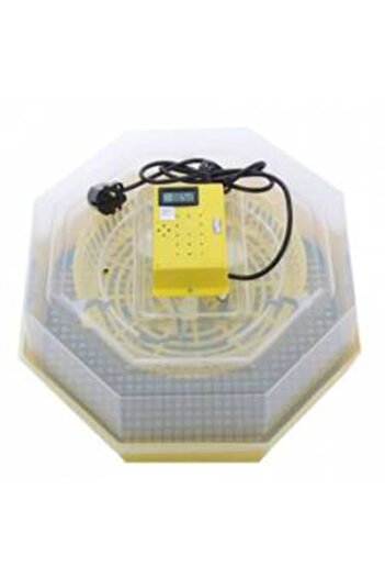 Cleo Electric Egg Incubator (Hatchery) with Turning Device and Thermometer 5DT, 230 V, 41 Eggs Capac