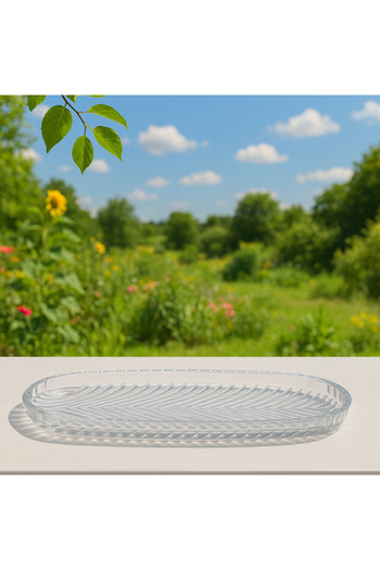 Kitchen Line Transparent Glass Long Presentation Plate 33X13 cm – for Appetizers and Breakfast