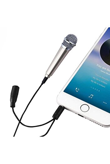 OEM Mini Microphone for Karaoke, Silver 1.8x5.5cm