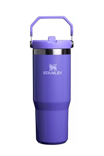 Generic Stanley IceFlow Flip Straw Tumbler 30oz – Winter Wonderland Collection