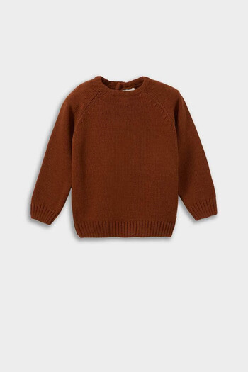 DeFacto Crew Neck Knitwear Brown Baby Boy Sweater F2408A5/Bn113