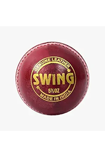 DSC Swing Leather Cricket Ball (Red)