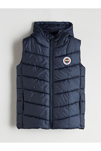 LC Waikiki New Season Hooded Printed Boys' Vest