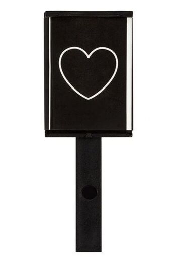 Ami Gel Magnet for Nail Polish or Magnetic Gel Heart Model No.8 - Ami Gel