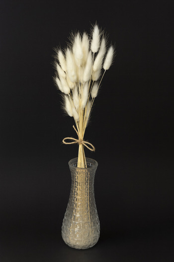 ÇINARASYADAHOME Buchet de iarbă naturală uscată de coadă de iepure de culoare albă 1 buchet (40 ramuri)