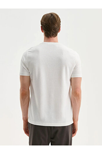 LC Waikiki Crew Neck Men's T-Shirt