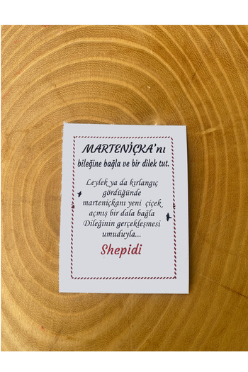 Shepidi 2-Piece Clover-Shaped Marteniçka Lucky Bracelet