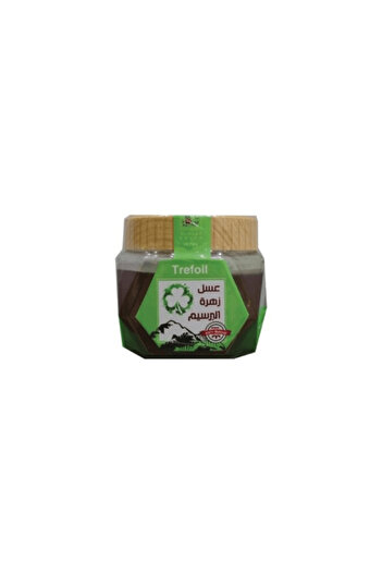 fifaa Viva Clover Honey 500g