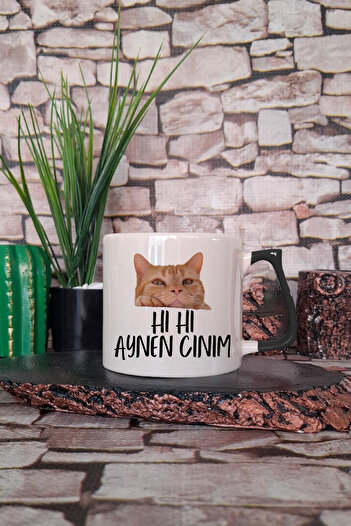 qoeuyl boutique Hı Hı Aynen Cınım-Kedi Printed Fun Gift Colorful Handle Cup-Mug