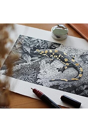 STOREMAX Isograph Technical Drawing, 0.1 Mm, Black Ink 1088605
