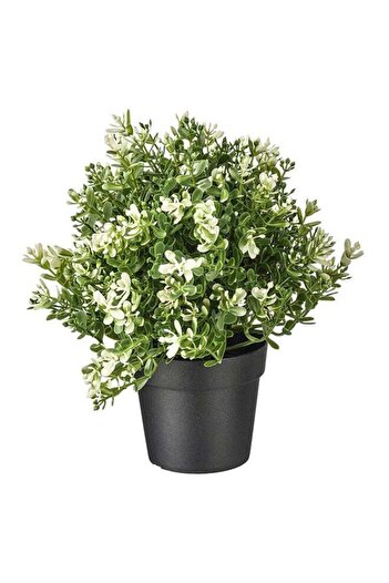 Generic Artificial Potted Plant Green/Black