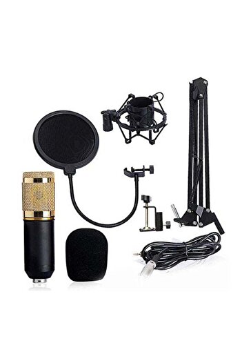 Generic Condenser Microphone With Shock Mount 1839500252 Black