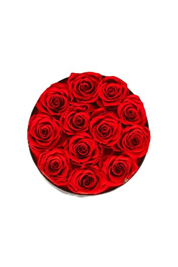 Flower Red Cryogenated Roses, Box of 12 Pieces – Luxury Arrangement 'Love Forever'