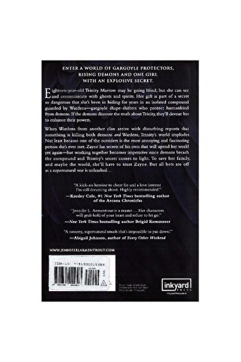 Harper Collins Storm and Fury