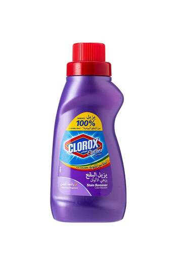 Clorox Clothes Stain Remover Original 500ml