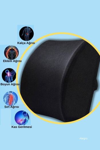 Viscomina Waist and Back Support Cushion Lumbar Pillow Original Black Color