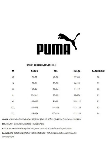 Puma 683046 gray