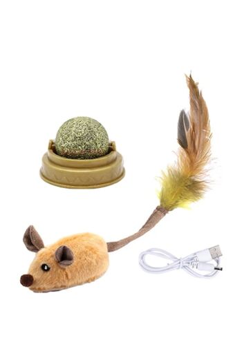 victiny Set 2 Interactive Toys for Cats, Catnip Ball and LED Mouse