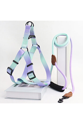 Choice M zilu A set of colorful pet harness with leash and dog leash for indoor and outdoor use